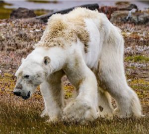 via National Geographic