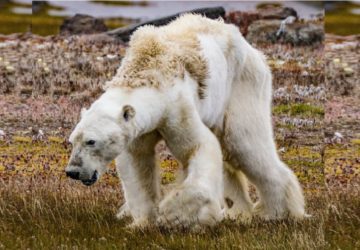 via National Geographic